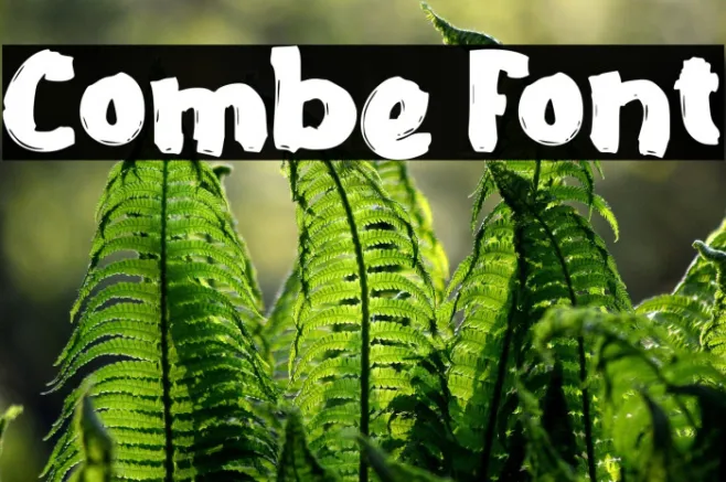 Combe Example 1