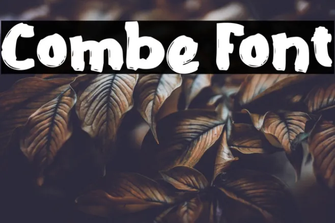 Combe Example 3