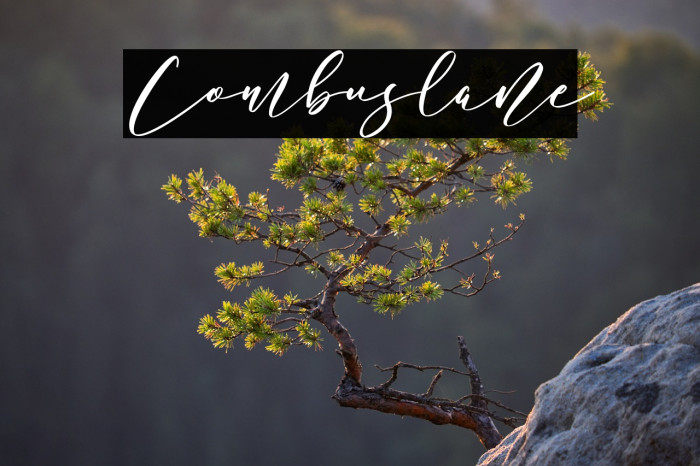 Combuslane Example 1