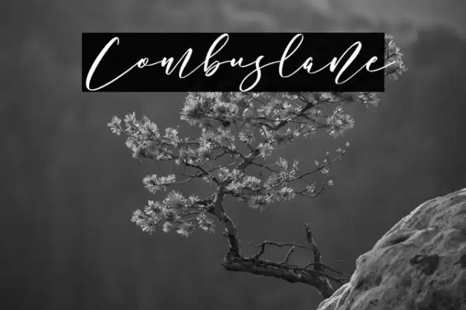 Combuslane Schriftart examples