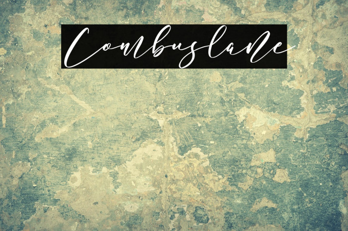 Combuslane Example 2