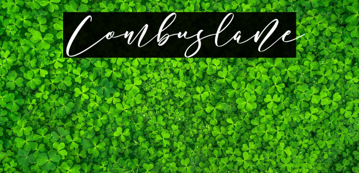 Combuslane Example 3