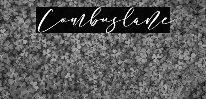 Combuslane Schriftart examples