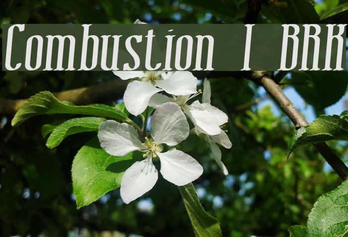 Combustion I BRK Font examples
