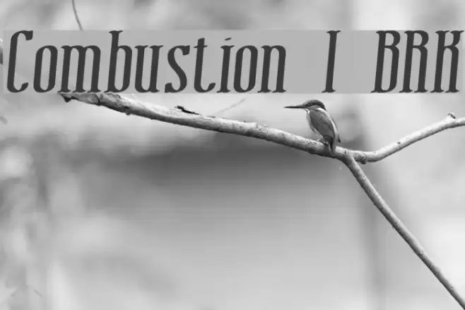 Combustion I BRK Font examples