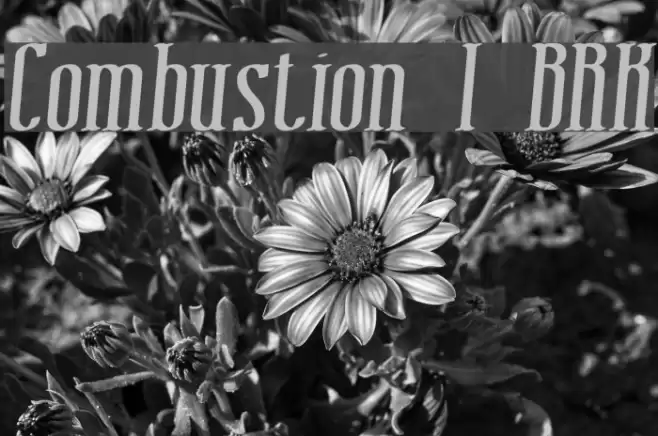 Combustion I BRK Font examples