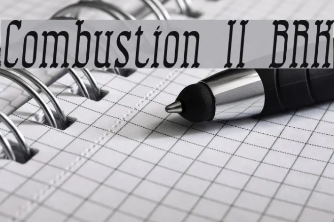 Combustion II BRK Example 2