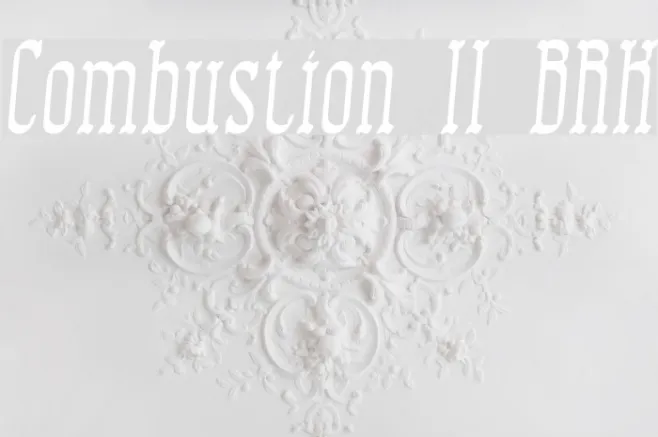 Combustion II BRK Example 3