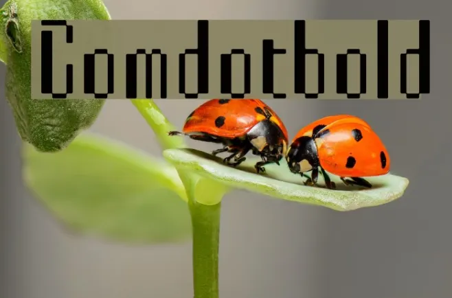 Comdotbold Example 2