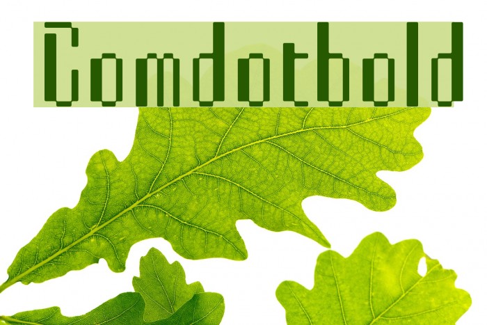 Comdotbold Font examples