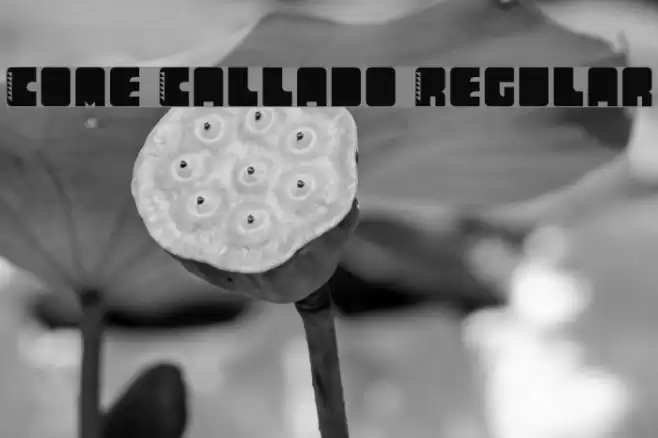 Come Callado Regular Font examples
