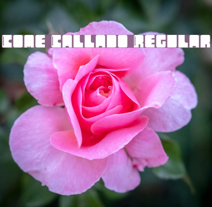 Come Callado Regular Example 3