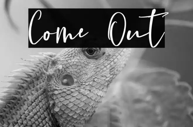 Come Out 字体 examples