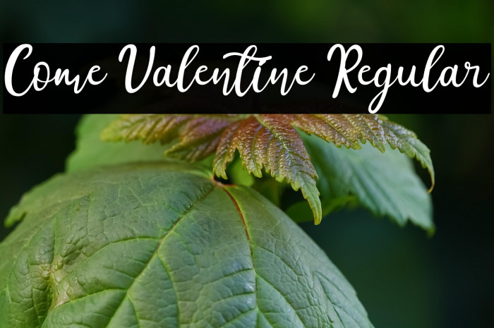 Come Valentine Regular Example 1