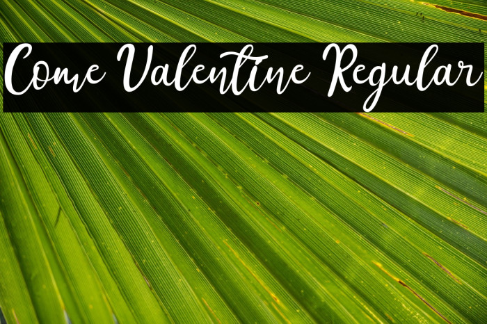 Come Valentine Regular Example 3