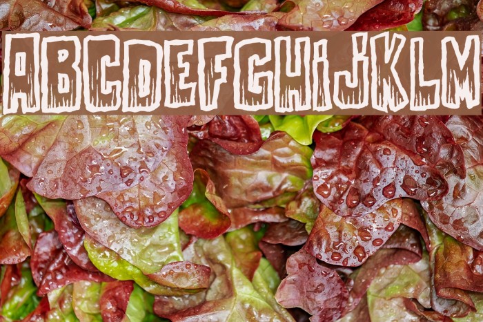 Come With Us Font examples