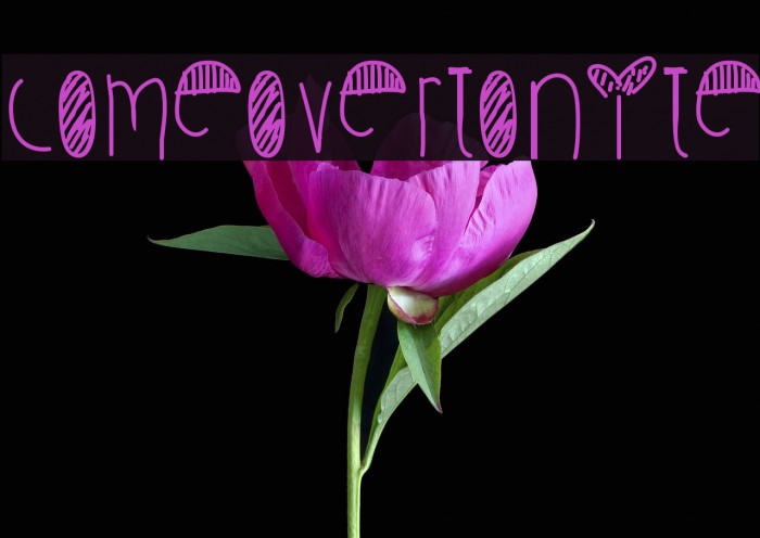 ComeOverTonite Example 1