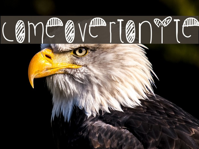 ComeOverTonite Example 3