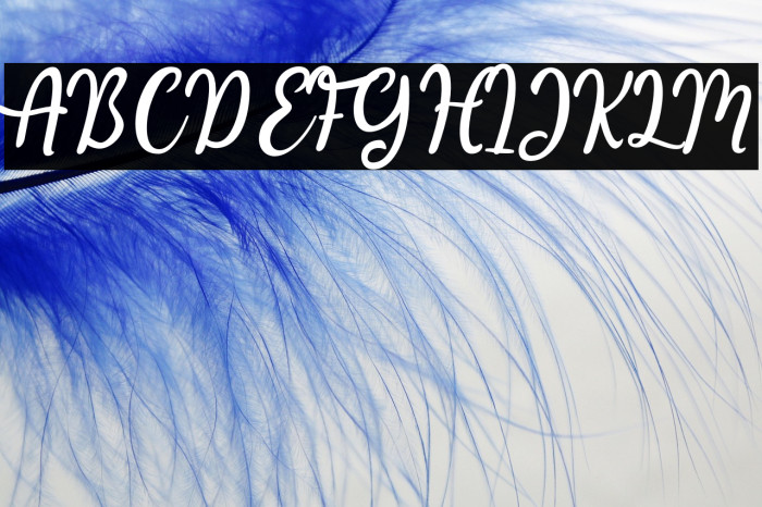 ComeValentine-Regular Example 1