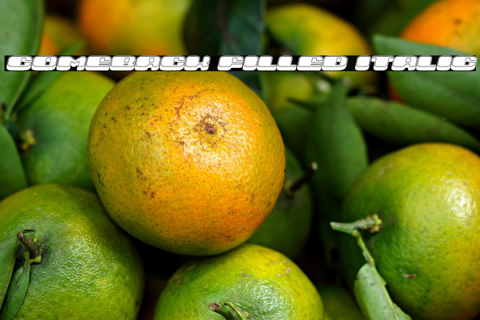 Comeback Filled Italic Example 3