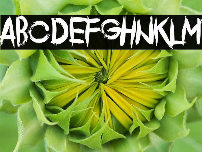 Comeback Of The Damned Example 1