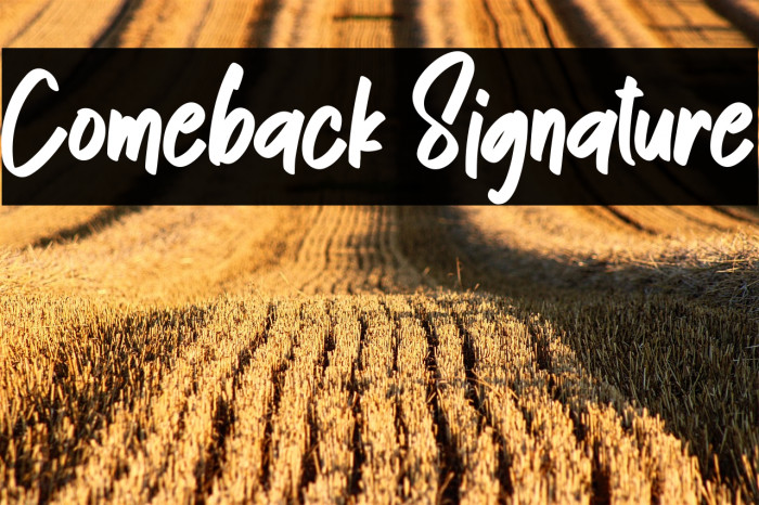 Comeback Signature Example 2