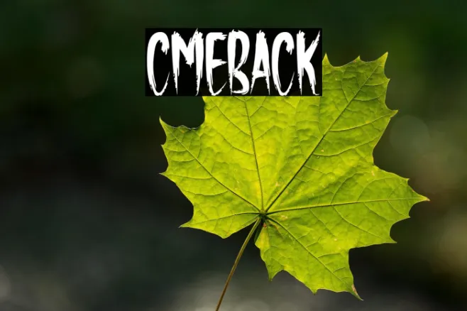Comeback Example 3