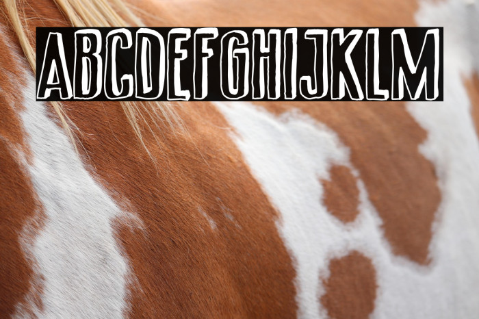 Comedy Channel 02 Example 1