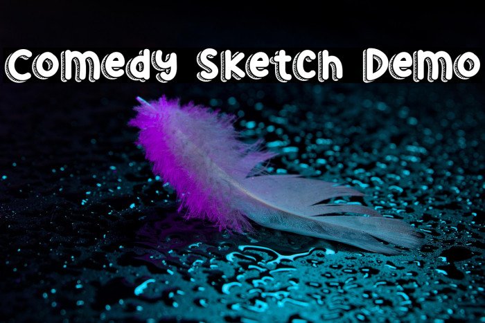 Comedy Sketch Demo Example 2