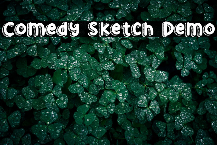 Comedy Sketch Demo Example 3