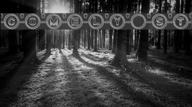 Comely St Font examples