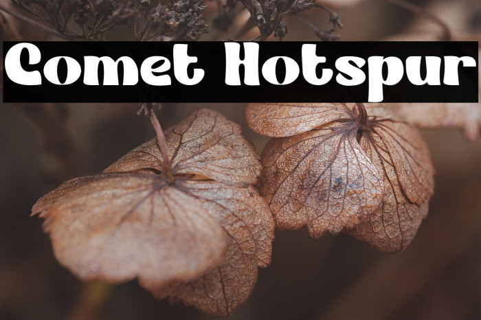Comet Hotspur Example 2