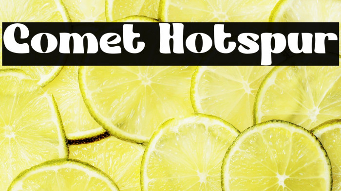Comet Hotspur Example 3