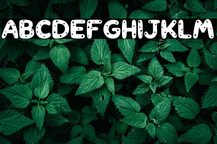 Comet PERSONAL USE ONLY! Example 1