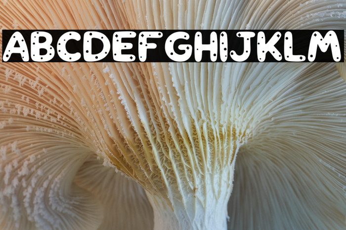 Comet PERSONAL USE ONLY! Example 3