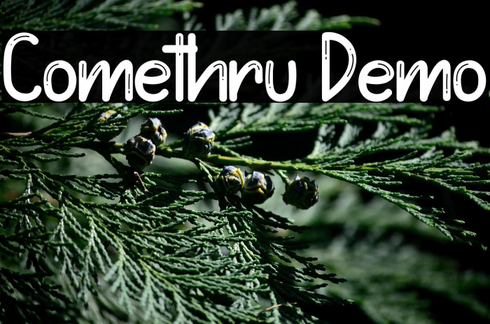 Comethru Demo Example 1