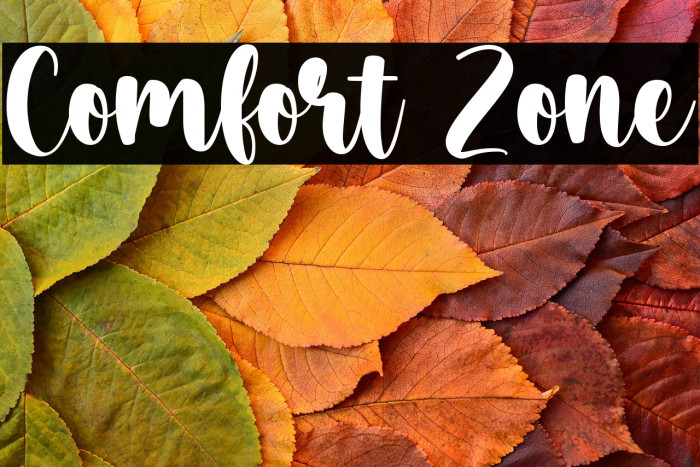 Comfort Zone Example 3