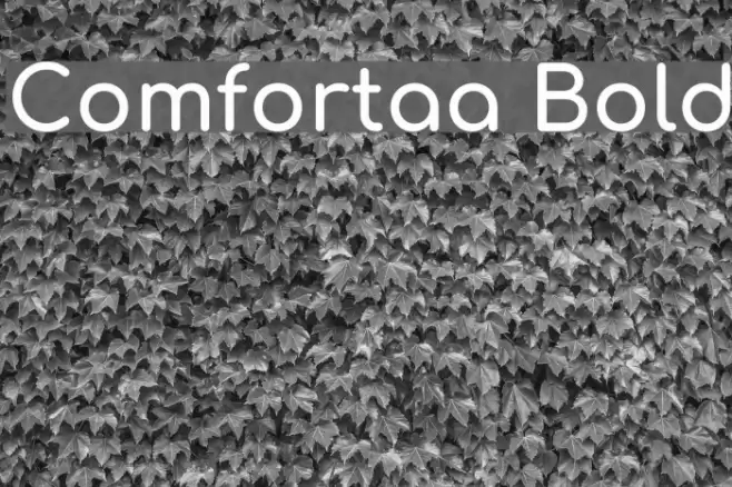 Comfortaa Bold Font examples