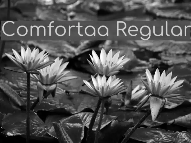 Comfortaa Regular Font examples