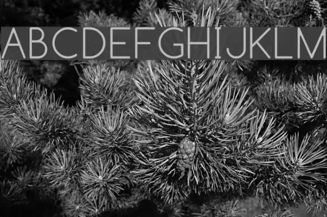 Comfortaa Thin Polices examples