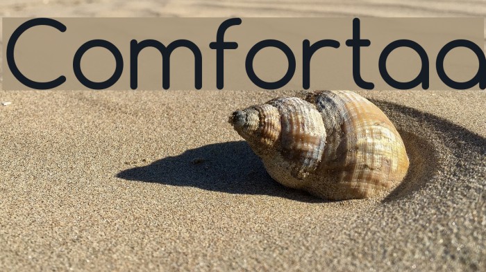 Comfortaa Font examples