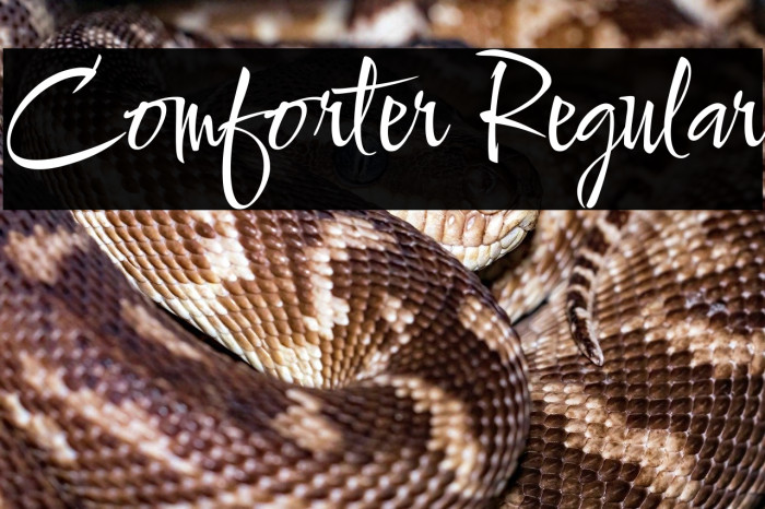 Comforter Regular Example 1