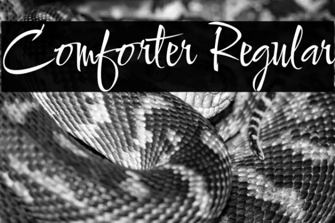 Comforter Regular Font examples