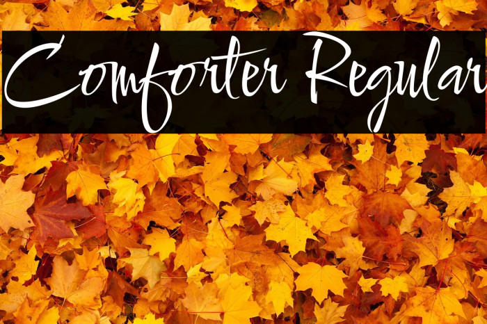 Comforter Regular Example 3