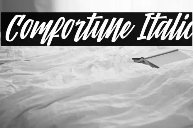 Comfortune Italic Font examples