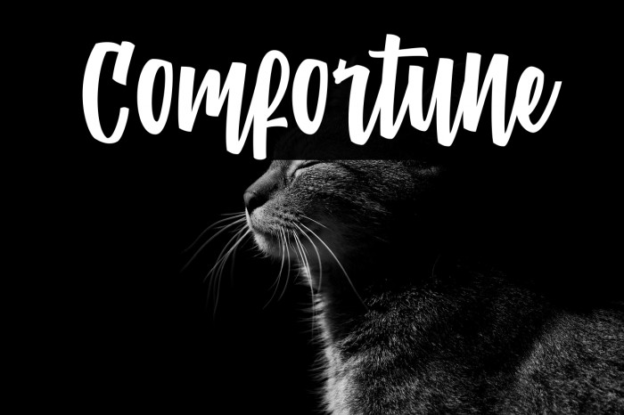 Comfortune Example 2