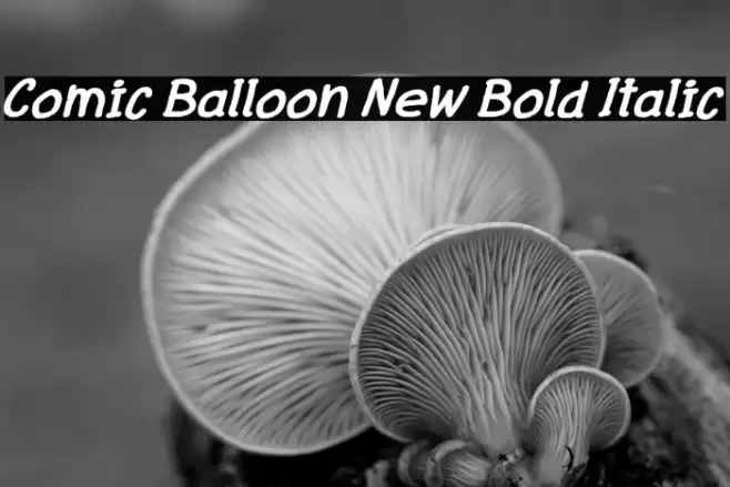 Comic Balloon New Bold Italic Polices examples