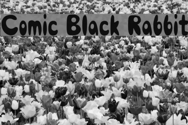 Comic Black Rabbit Font examples