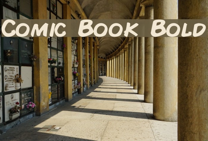 Comic Book Bold Font examples