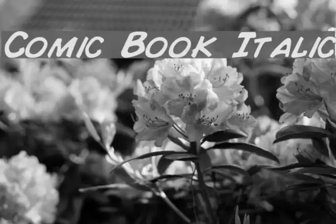 Comic Book Italic Font examples
